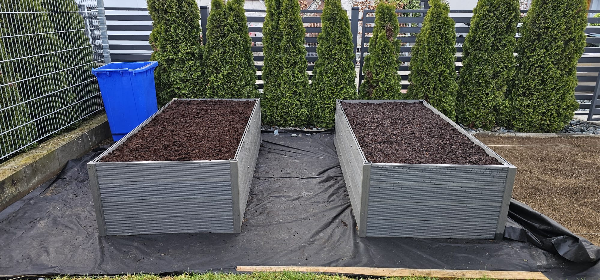 WhatsApp Image 2026-04-19 at 21.09.13